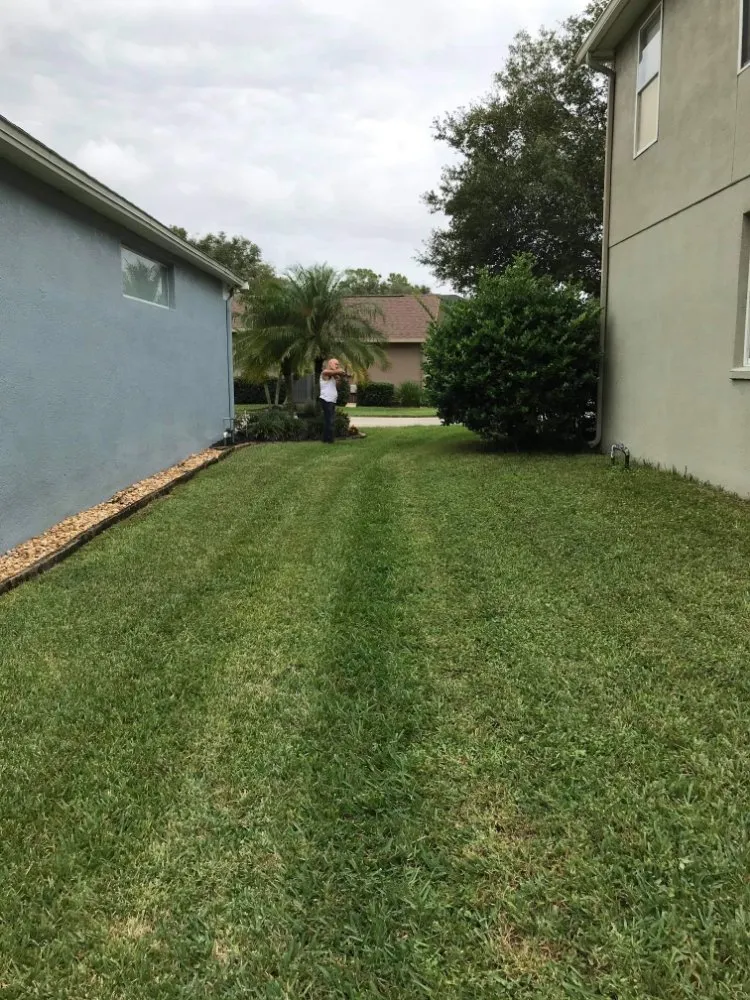Custom residential landscaping experts serving Mt. Plymouth, FL - Dave's Lawn & Handyman Services