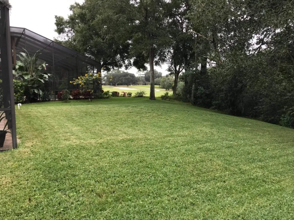 Affordable lawn care service for year-round maintenance across Mt. Plymouth, FL - Dave's Lawn & Handyman Services
