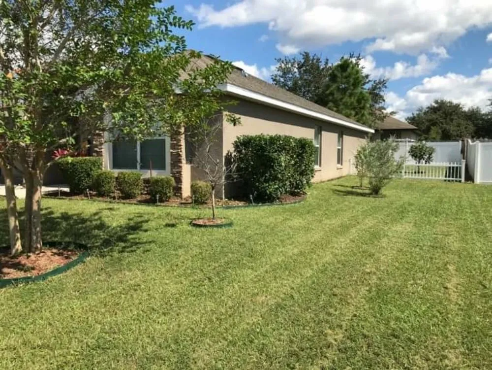 Trusted outdoor landscaping in Mt. Plymouth, FL - Dave's Lawn & Handyman Services