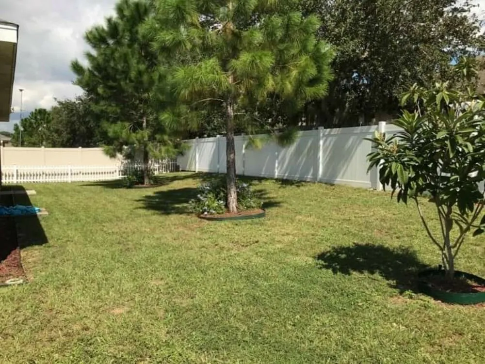 Trusted landscaping services near you in Mt. Plymouth, FL by Dave's Lawn & Handyman Services