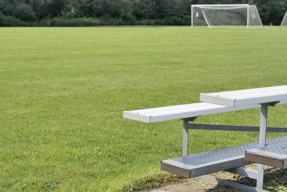 Affordable yard cleanup service for homes across Ludlow, MA - Dave's Lawn Aeration Service