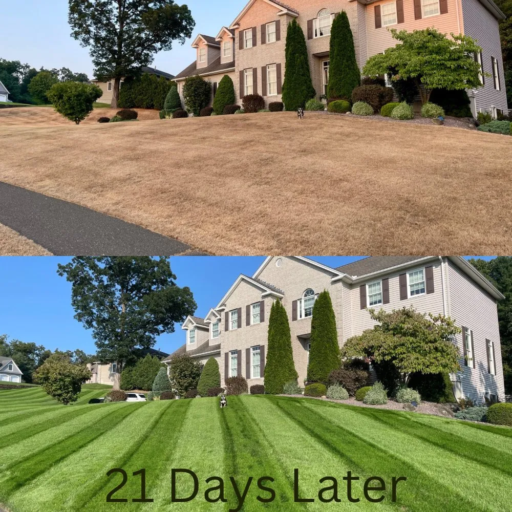 Reliable landscape design experts serving Ludlow, MA - Dave's Lawn Aeration Service