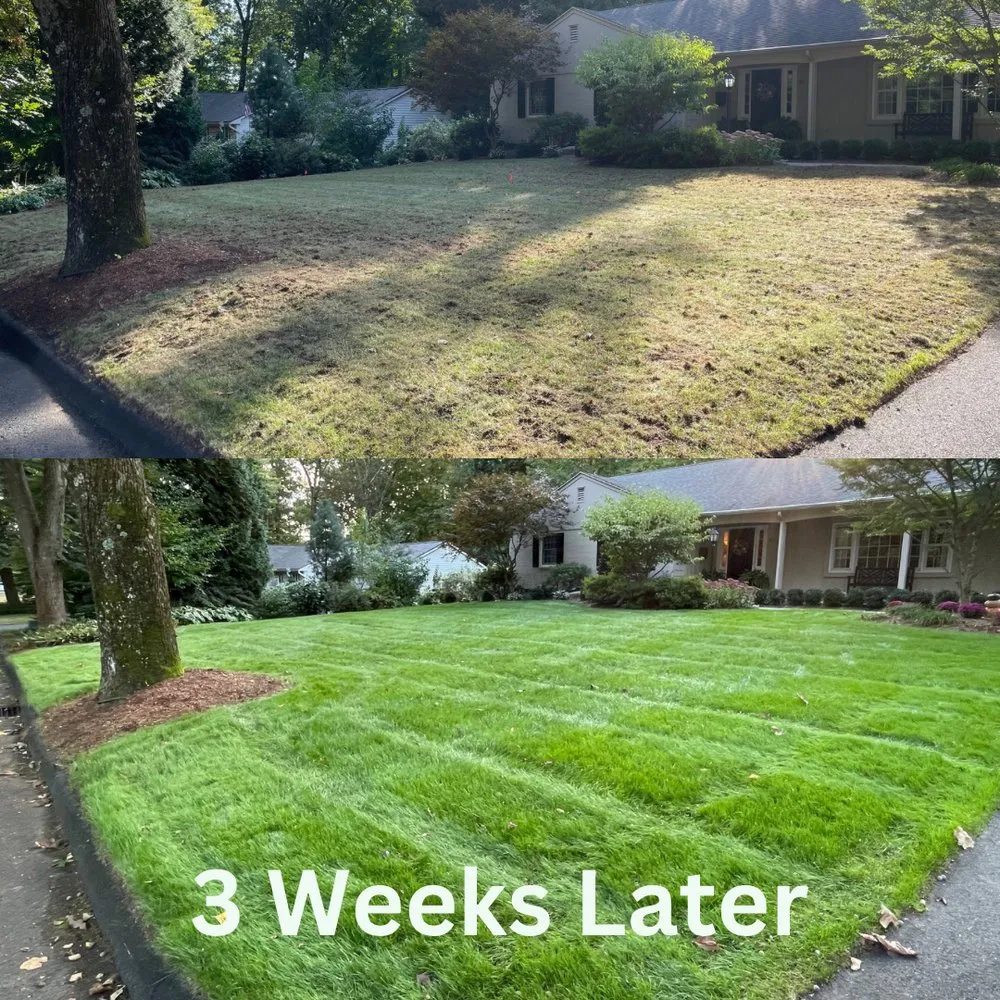 Expert lawn care service experts serving Ludlow, MA - Dave's Lawn Aeration Service