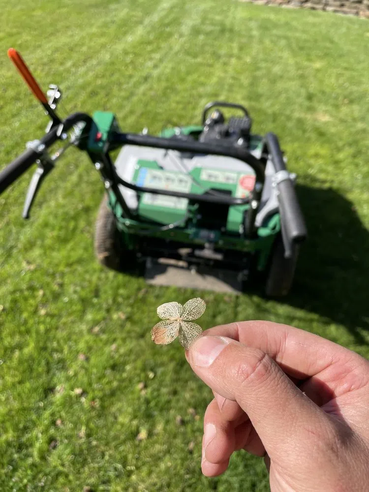 Local landscaping services for beautiful yards in Ludlow, MA by Dave's Lawn Aeration Service