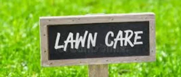 Dave's Lawn Care Logo