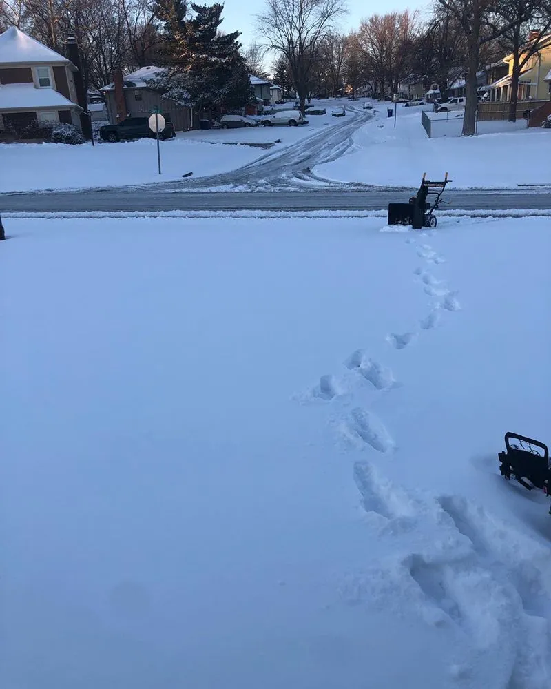 Top-rated residential landscaping in Grandview, MO - Dave's Lawn Care