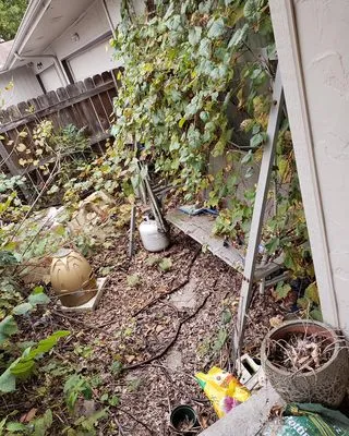 Dave's Lawn Care Logo