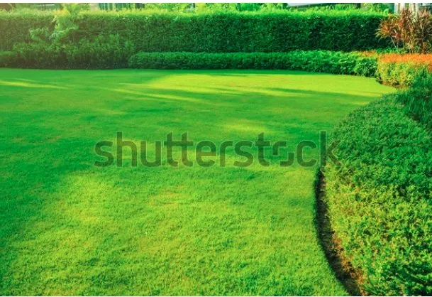 Top-rated lawn care service in Monona, WI - Dave's Lawn Care