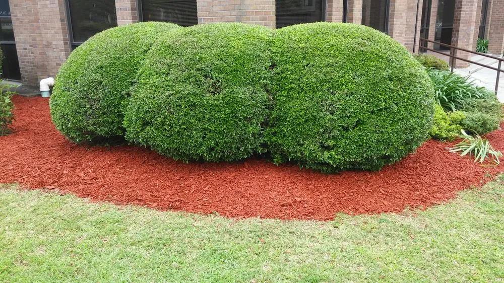 Reliable landscape design in Kenner, LA - Dave's Lawn Care Service