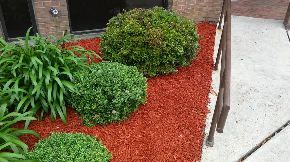 Professional landscaping services with custom design in Kenner, LA by Dave's Lawn Care Service
