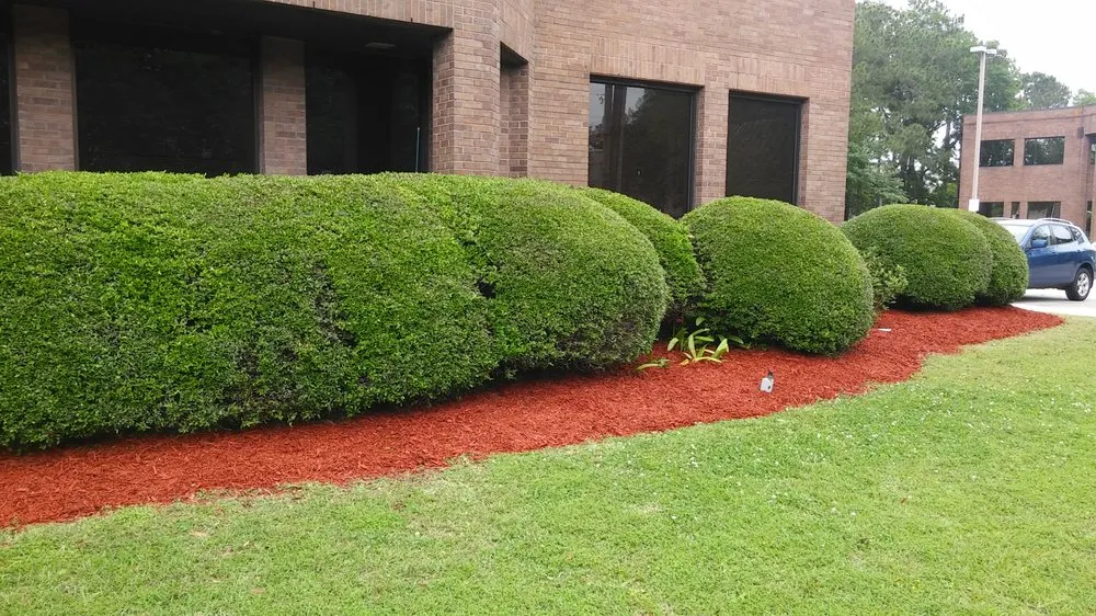 Professional landscape installation in Kenner, LA - Dave's Lawn Care Service