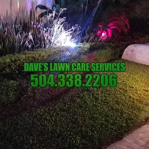 Expert yard cleanup service in Kenner, LA by Dave's Lawn Care Service