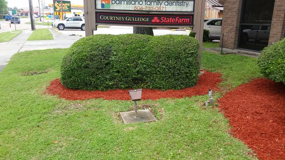 Custom landscape installation for year-round maintenance across Kenner, LA - Dave's Lawn Care Service