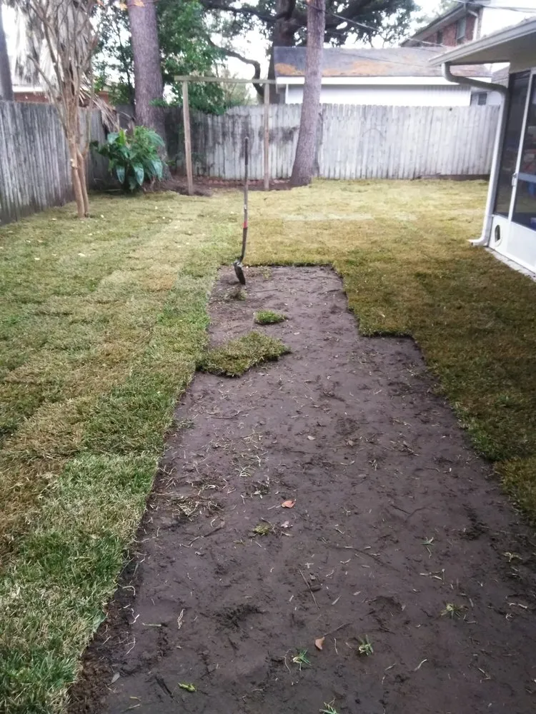 Professional yard maintenance in Kenner, LA - Dave's Lawn Care Service