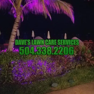 Dave's Lawn Care Service Logo