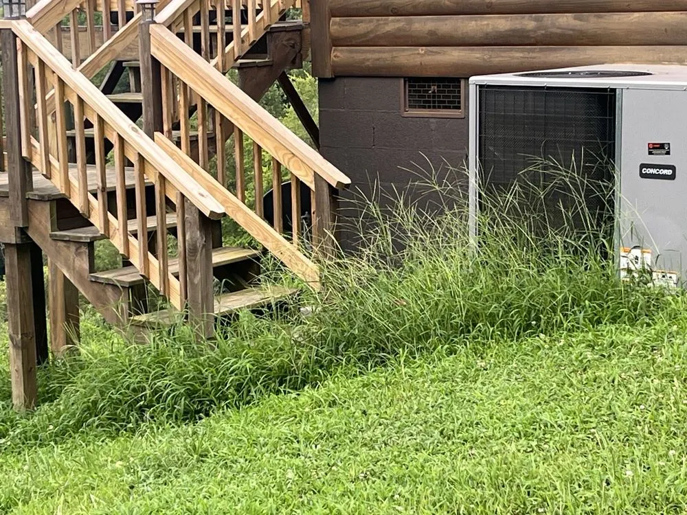 Local landscaping services experts serving Tazewell, TN - Dave's Lawn Care