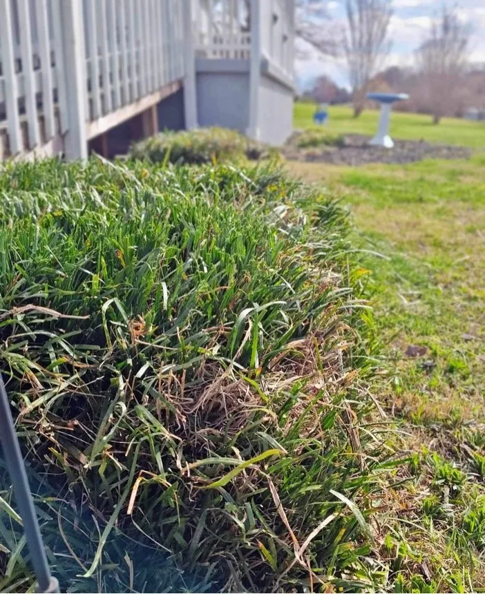 Custom outdoor landscaping for residential properties across Tazewell, TN - Dave's Lawn Care