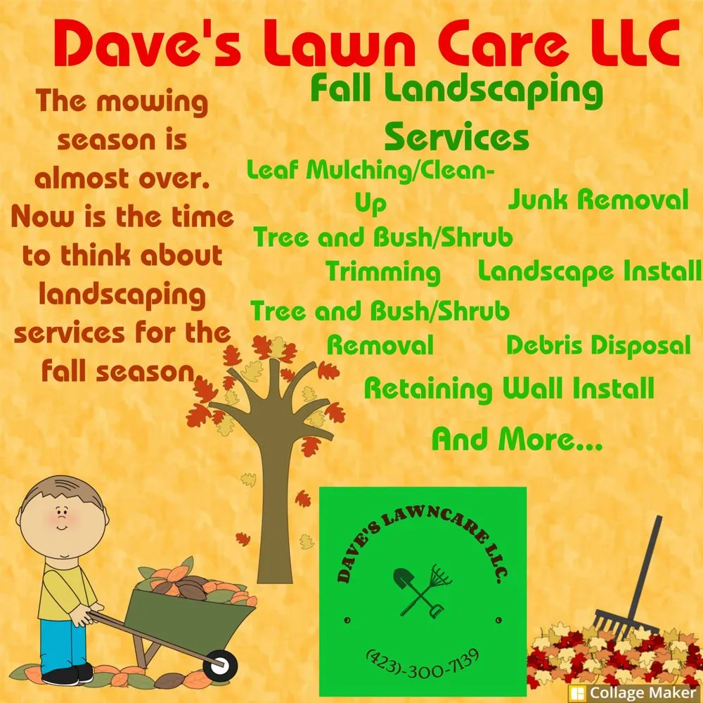 Trusted yard maintenance for beautiful yards across Tazewell, TN - Dave's Lawn Care