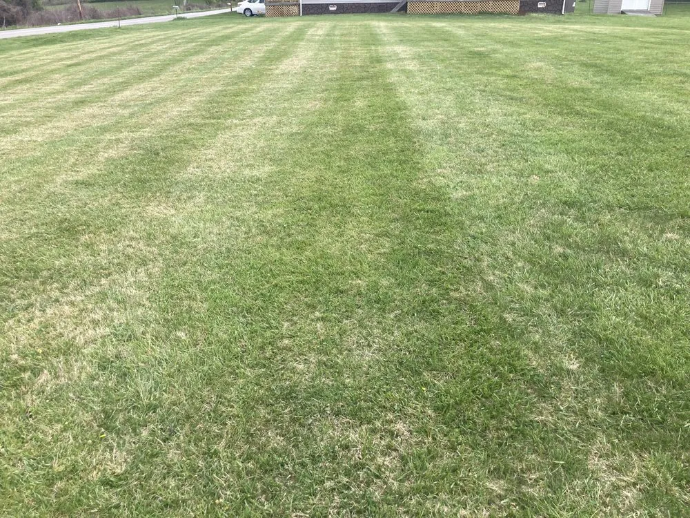 Reliable landscaping services for residential properties in Tazewell, TN by Dave's Lawn Care