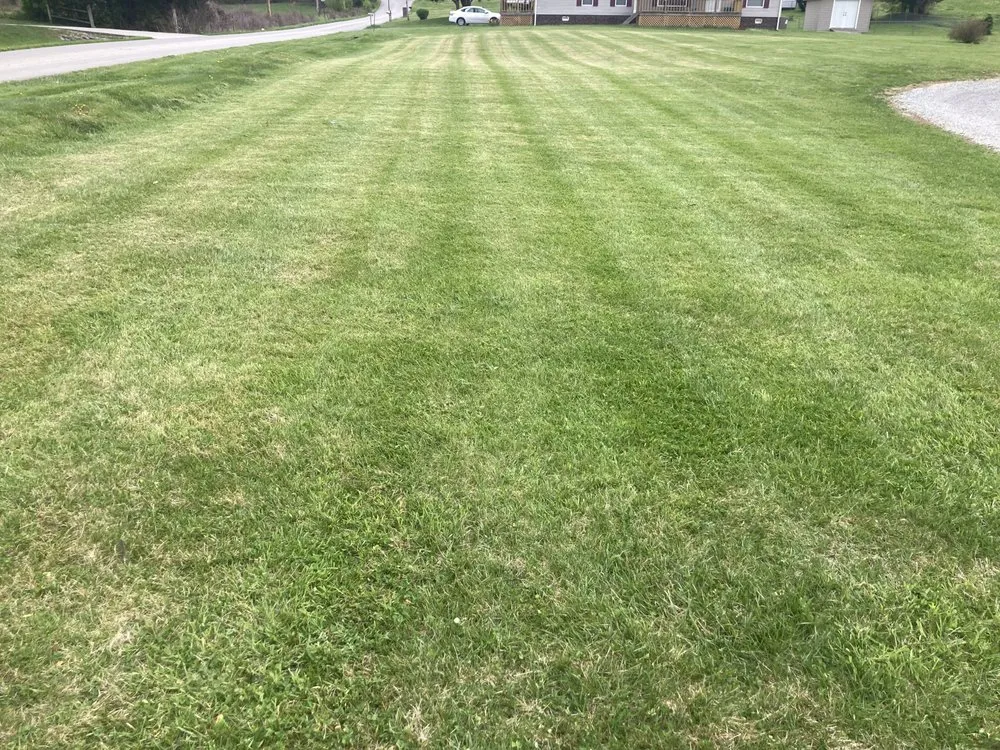 Reliable garden landscaping experts serving Tazewell, TN - Dave's Lawn Care