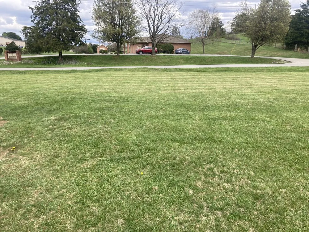 Custom lawn mowing service experts serving Tazewell, TN - Dave's Lawn Care