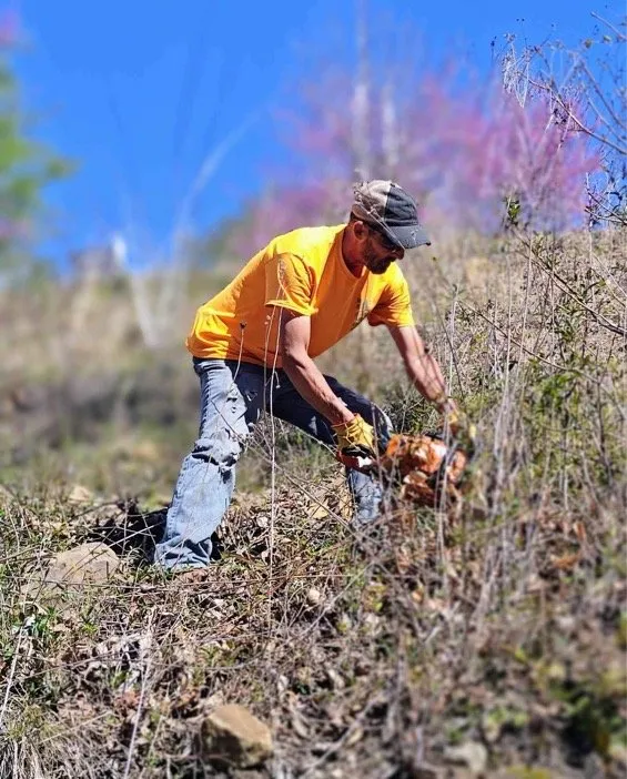 Local garden landscaping in Tazewell, TN by Dave's Lawn Care