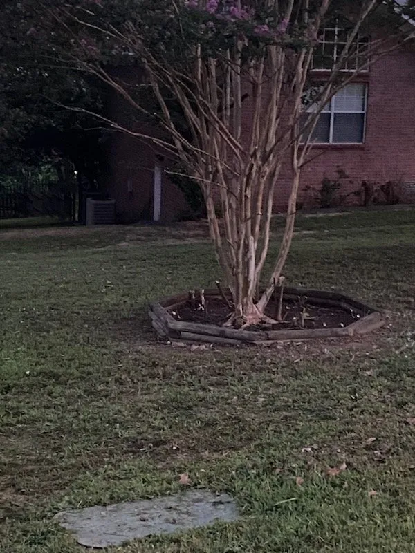 Top-rated landscape design experts serving Jacksonville, AR - Dave’s Lawn Service