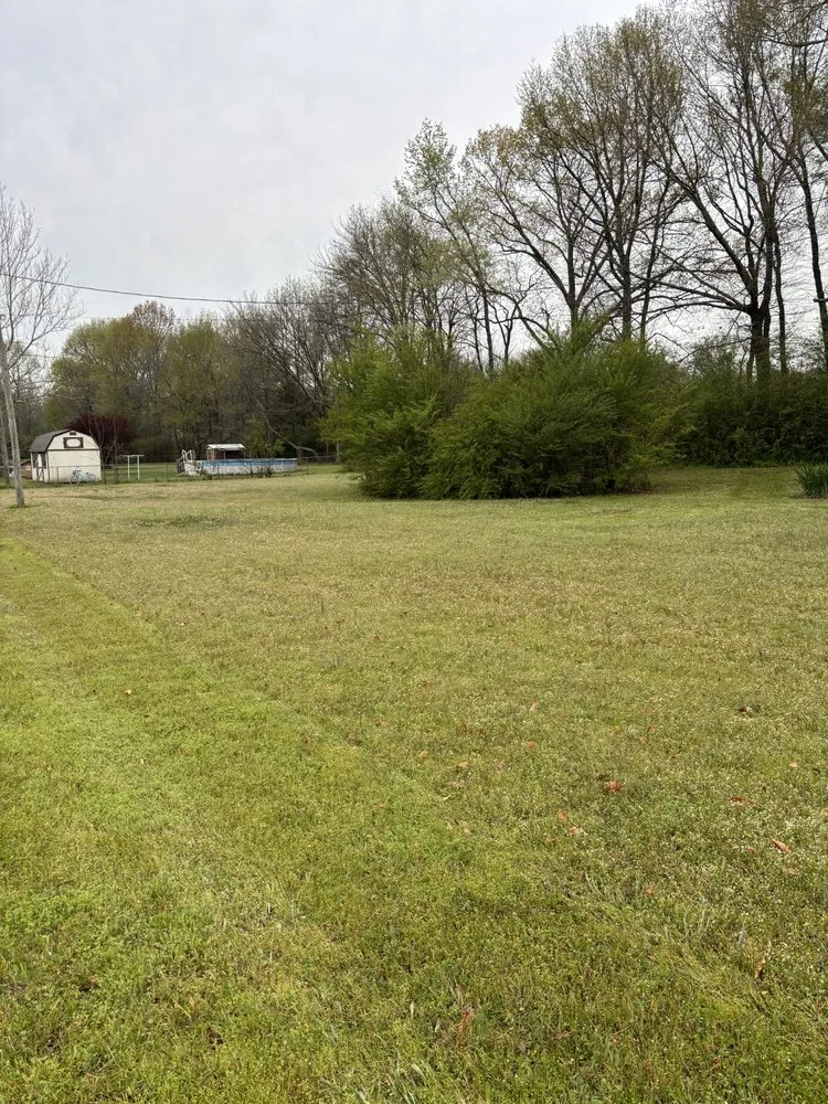 Trusted lawn care service for residential properties across Jacksonville, AR - Dave’s Lawn Service