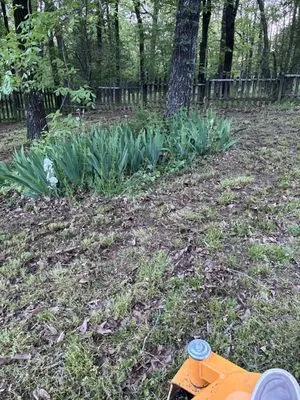 Dave’s Lawn Service