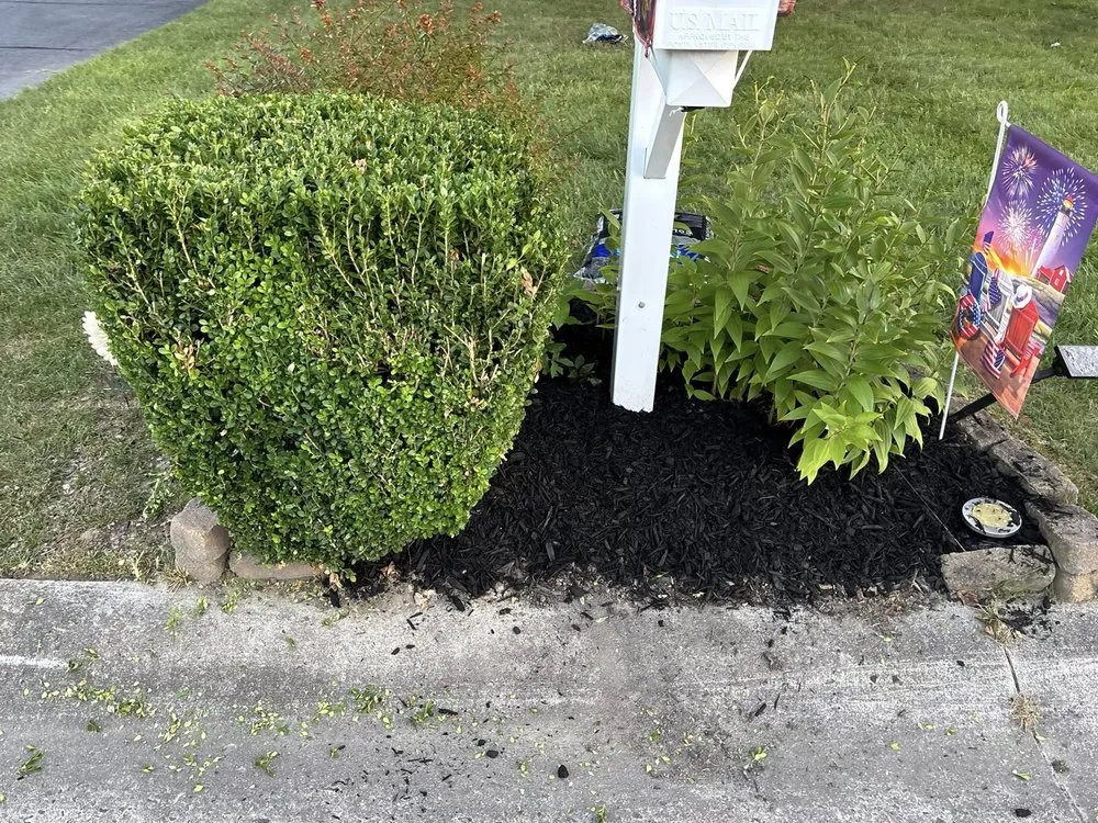 Local lawn mowing service in Dover, DE - Dave's Lawncare & Pressure Washing