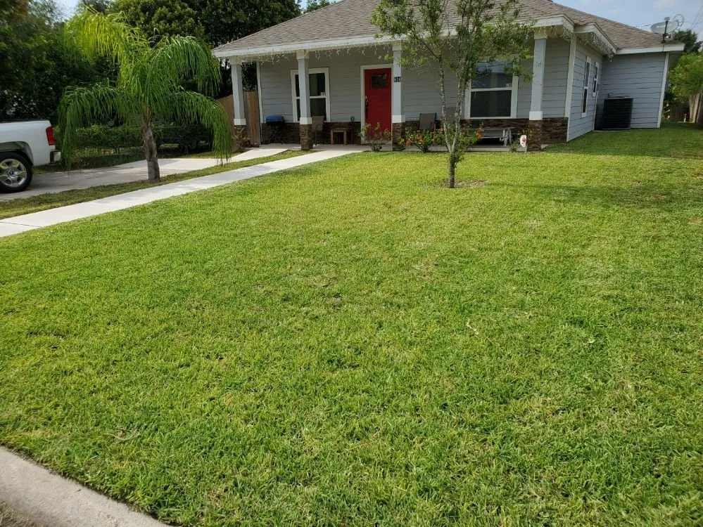 Custom lawn care service in Weslaco, TX by Dave's Lawns & Landscaping