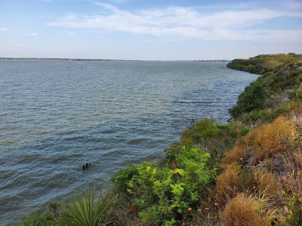 Affordable landscaping services for homes in Weslaco, TX by Dave's Lawns & Landscaping