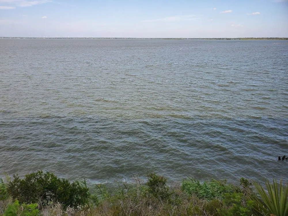 Local yard cleanup service in Weslaco, TX by Dave's Lawns & Landscaping