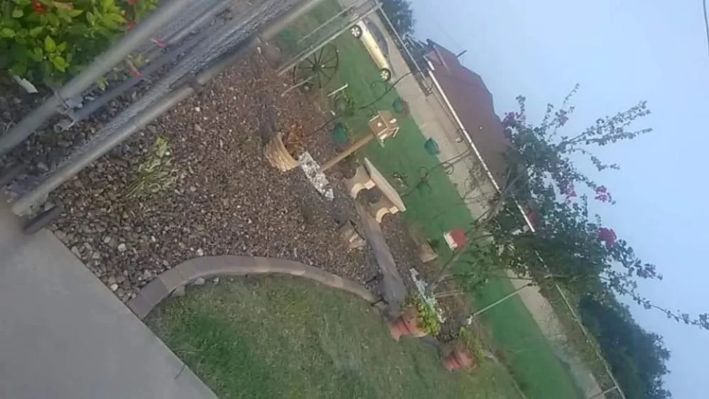 Trusted outdoor landscaping for beautiful yards in Weslaco, TX by Dave's Lawns & Landscaping