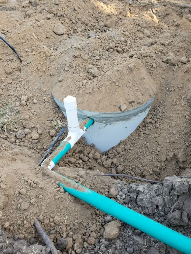 Top-rated garden landscaping in Weslaco, TX - Dave's Lawns & Landscaping