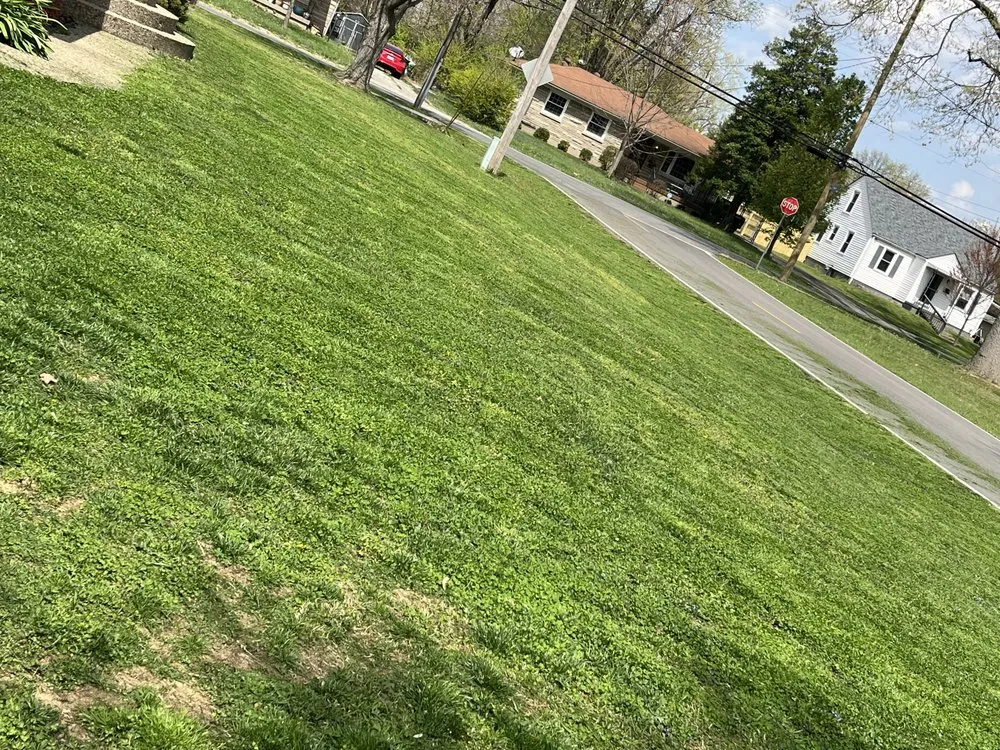 Trusted lawn care service for outdoor upgrades in Brownsboro Village, KY by Dave’s Local Lawn Care Services