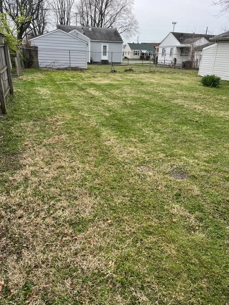 Affordable lawn care service for year-round maintenance across Brownsboro Village, KY - Dave’s Local Lawn Care Services