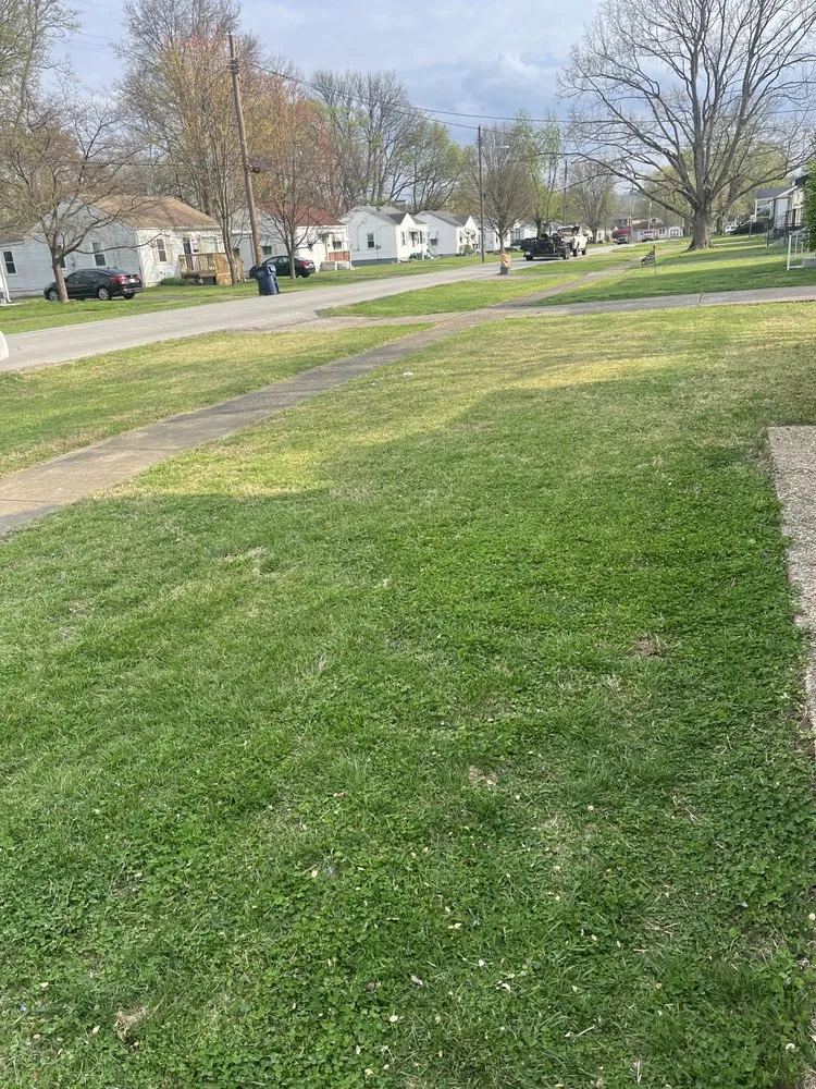 Reliable landscape installation in Brownsboro Village, KY by Dave’s Local Lawn Care Services