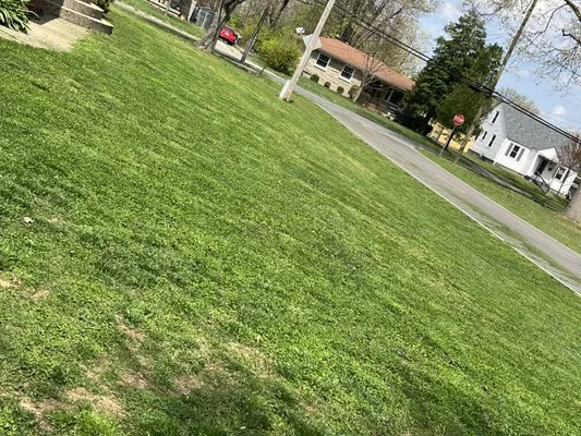 Dave’s Local Lawn Care Services Logo