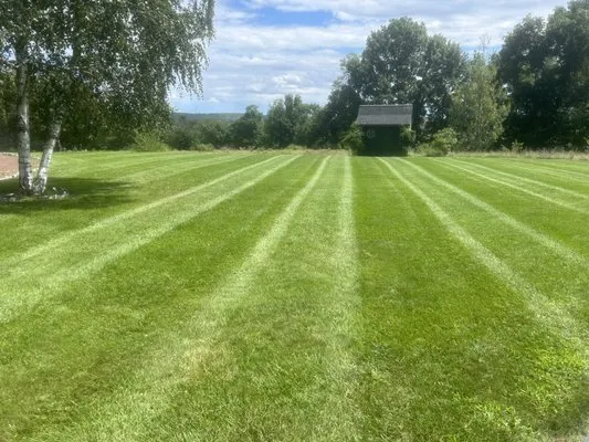Dave’s Property Maintenance