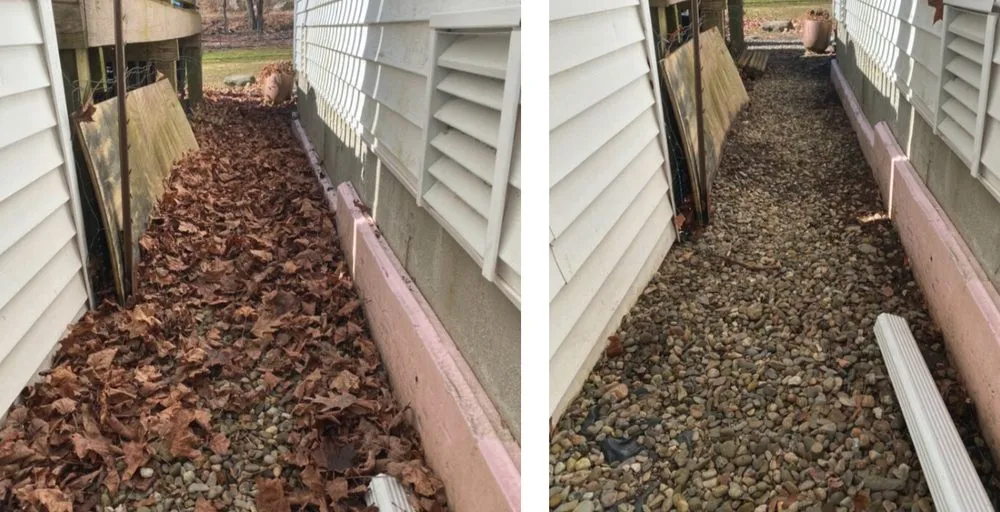 Trusted yard cleanup service experts serving Northfield, CT - Dave's Services