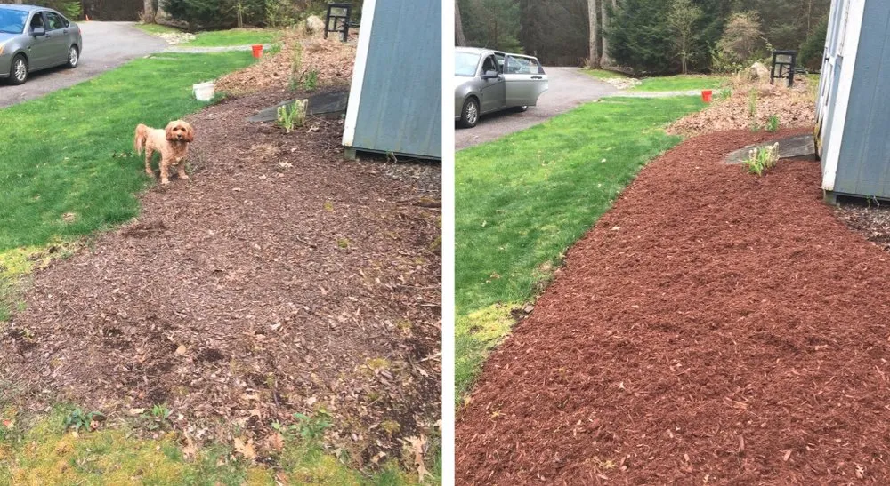 Top-rated lawn mowing service near you in Northfield, CT by Dave's Services