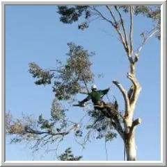 Trusted landscape design experts serving Quakertown, PA - Dave's Services