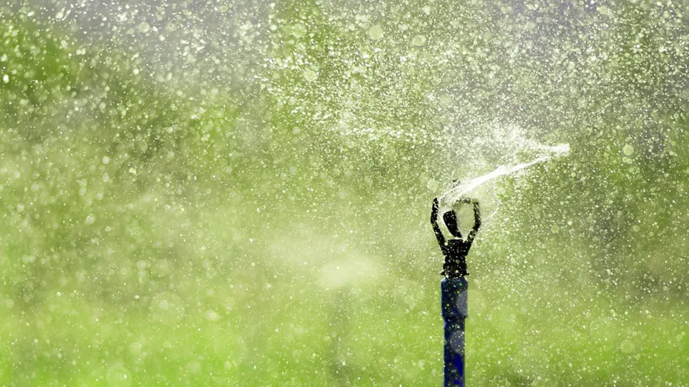 Top-rated landscape installation for beautiful yards in Merritt Island, FL by Dave's Sprinkler Repair