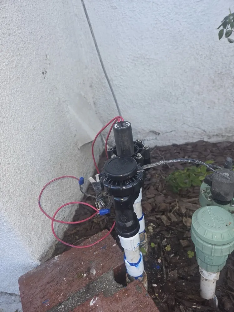 Reliable garden landscaping for outdoor upgrades across Buena Park, CA - Dave's Tree Service