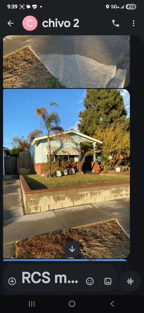 Top-rated lawn care service experts serving Buena Park, CA - Dave's Tree Service