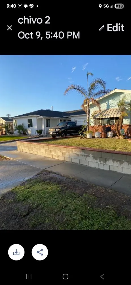 Expert lawn care service in Buena Park, CA - Dave's Tree Service