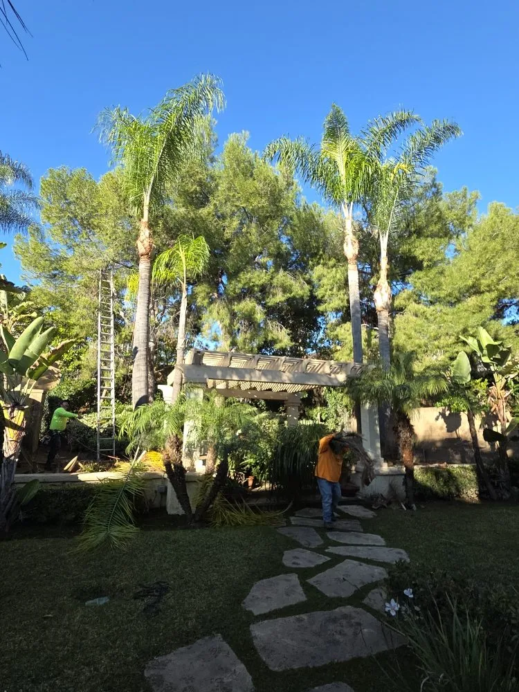 Local residential landscaping in Buena Park, CA - Dave's Tree Service