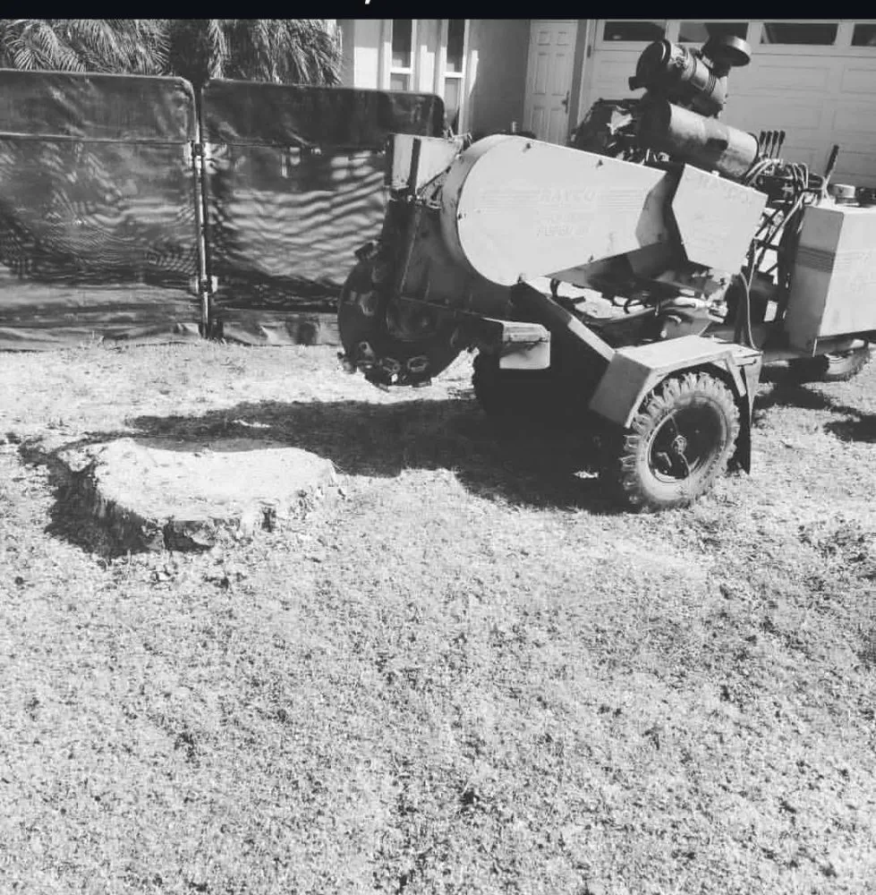 Affordable yard maintenance in Buena Park, CA - Dave's Tree Service