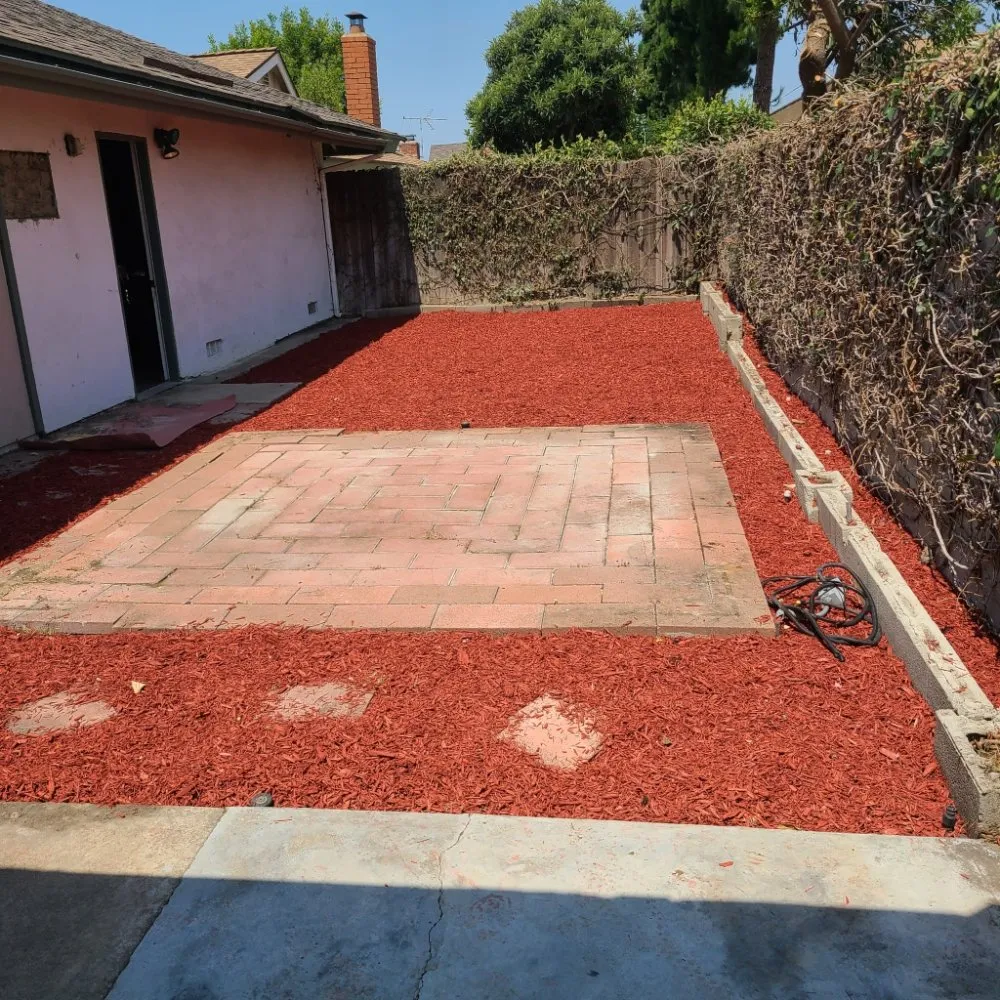 Local yard cleanup service for homes in Buena Park, CA by Dave's Tree Service